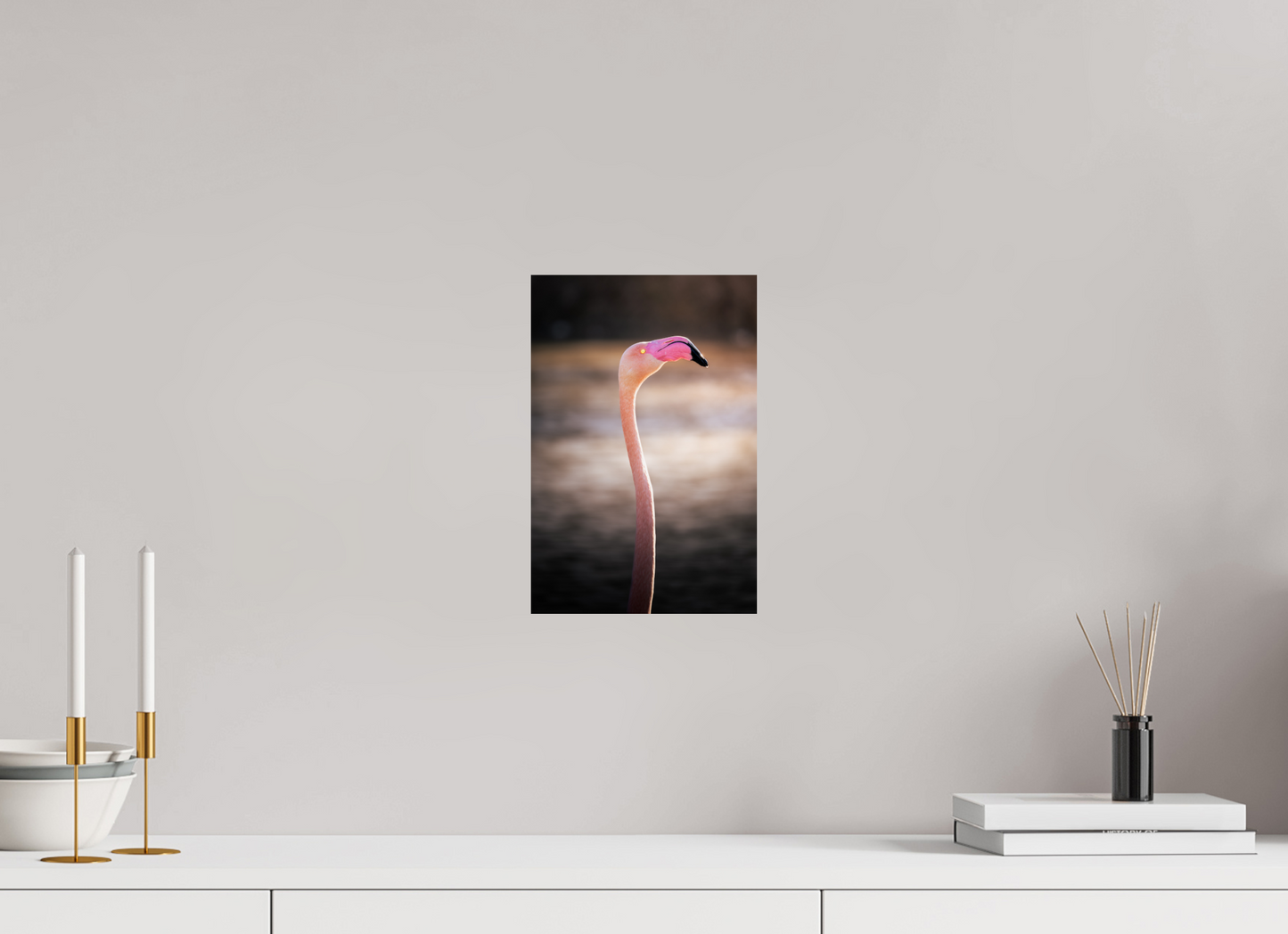 Flamant Rose | un très long cou