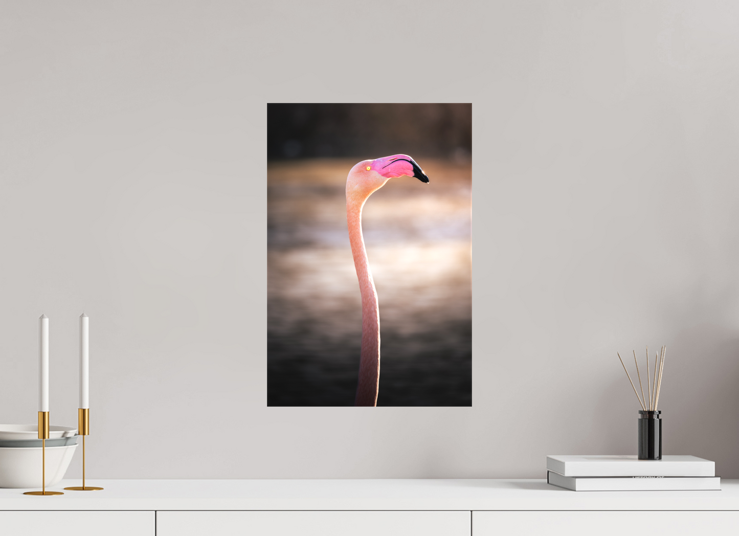 Flamant Rose | un très long cou