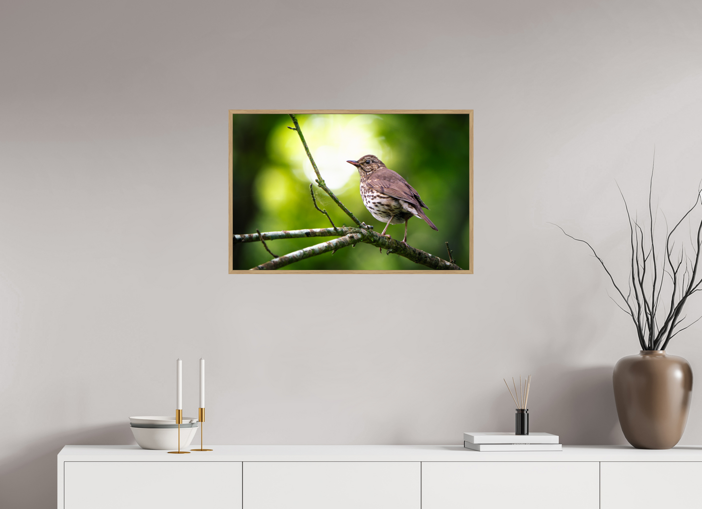 Grive musicienne | l'oiseau des sous-bois