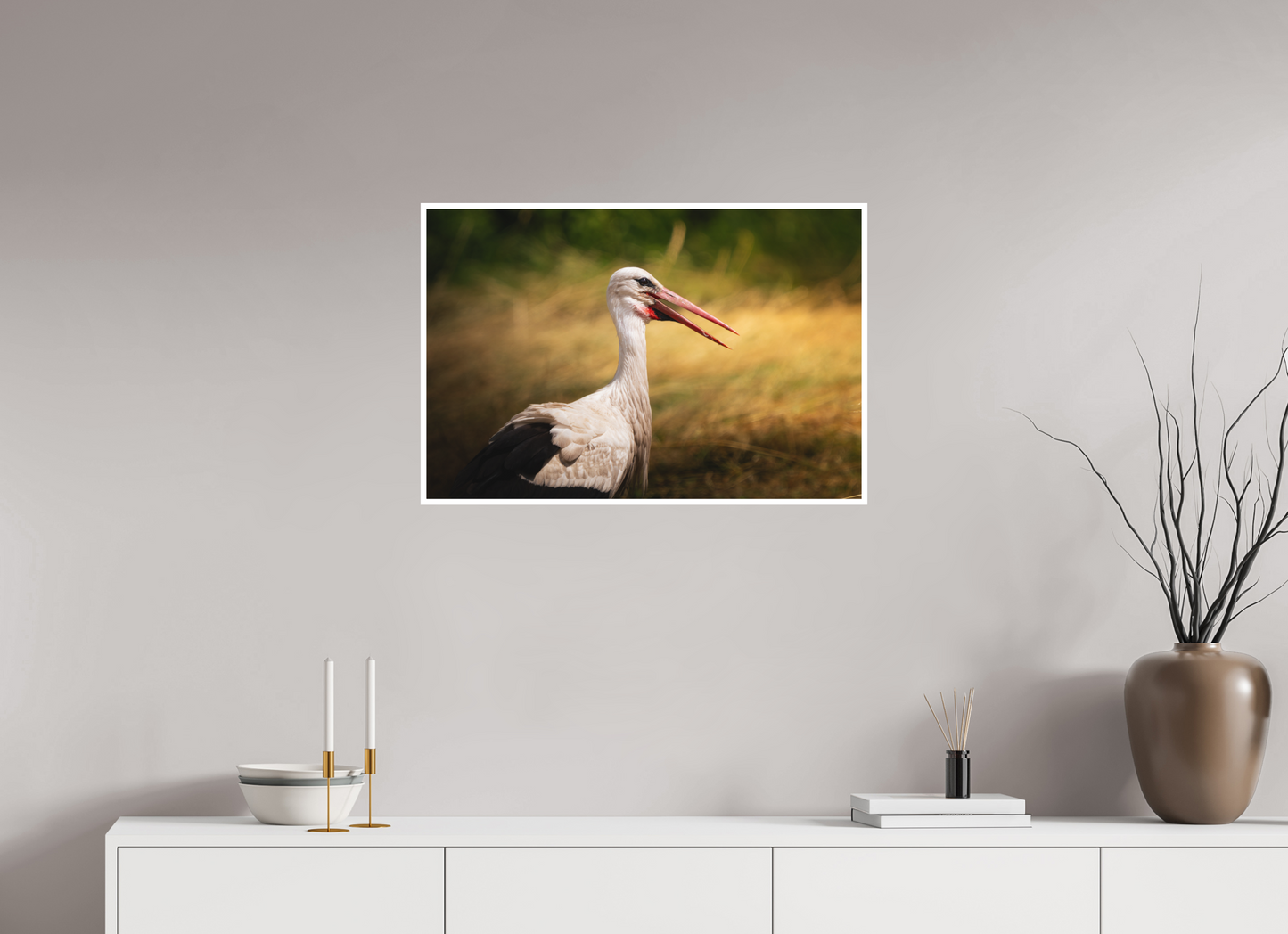 Cigogne blanche | une chaleur ardente