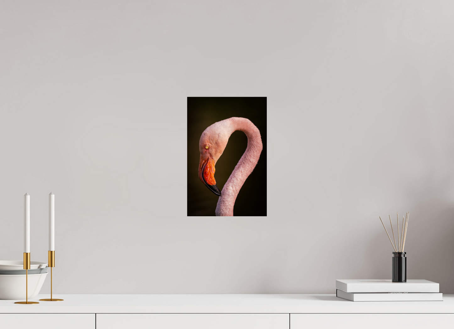 Flamant Rose | des couleurs mortel