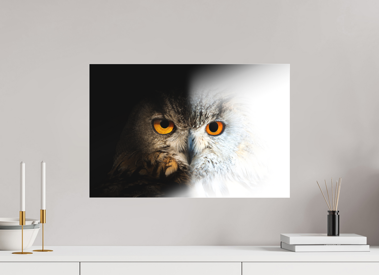 Hibou Grand-duc d'Europe & de Sibérie | entre ténèbres et lumière