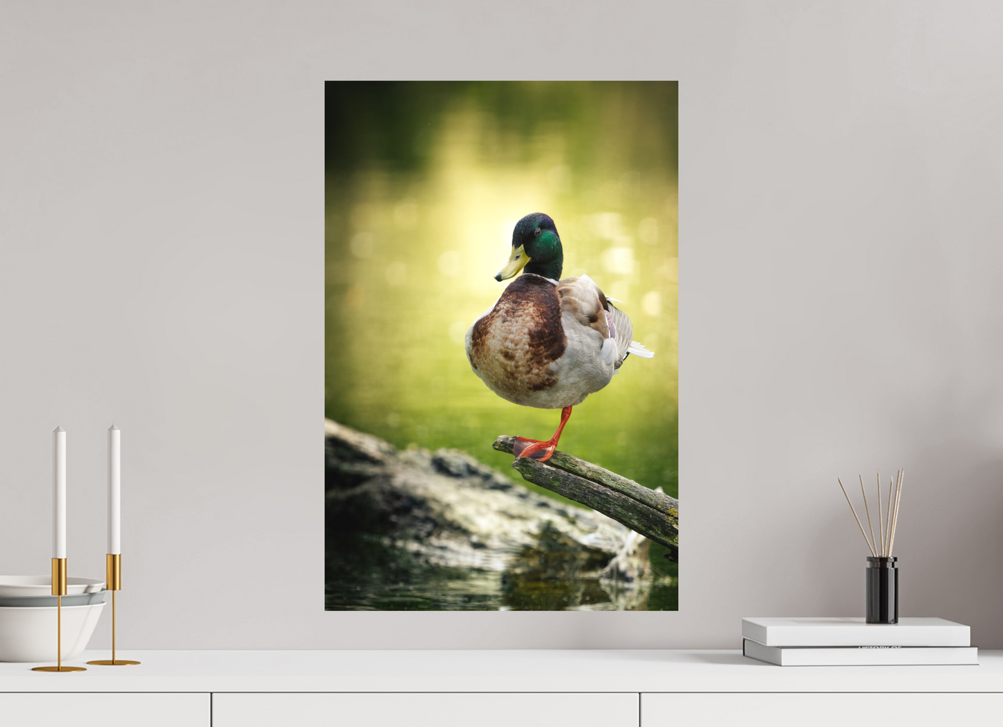 40 x 60 cm, Forex Vert Absolu