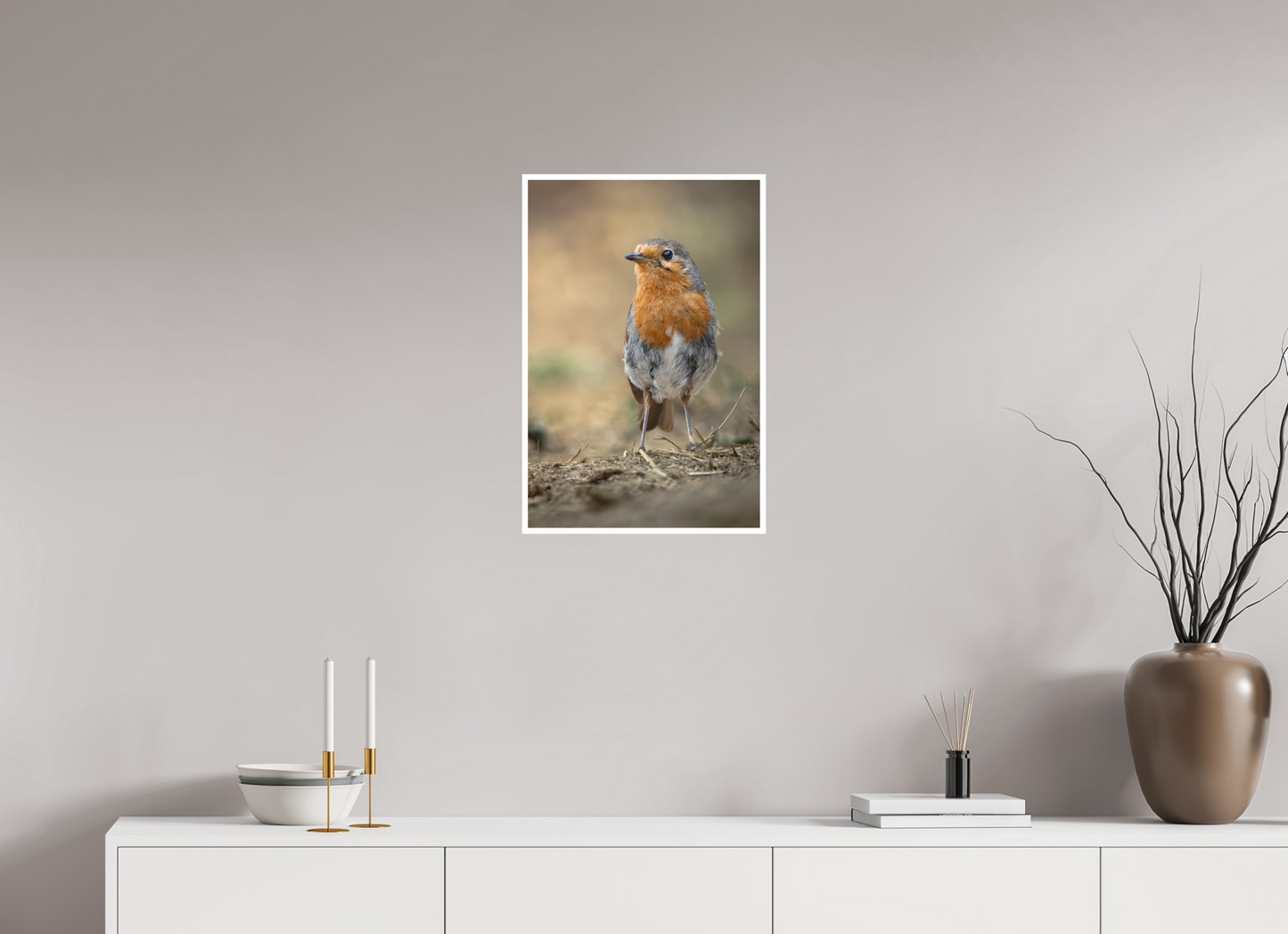 Rouge-gorge familier | le curieux du matin