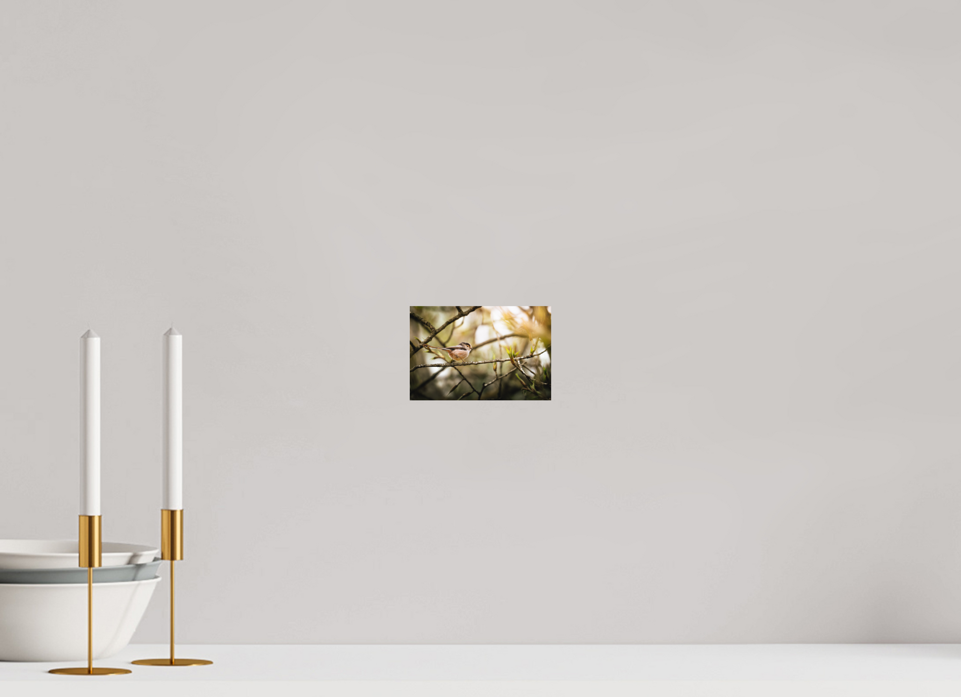 15 x 10 cm, Papier Standard Fragile Éveilleur