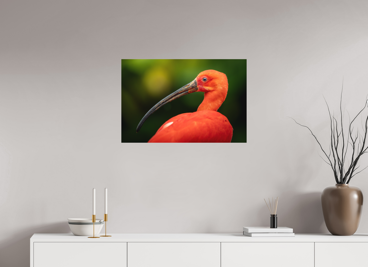 Ibis Rouge | un rouge écarlate