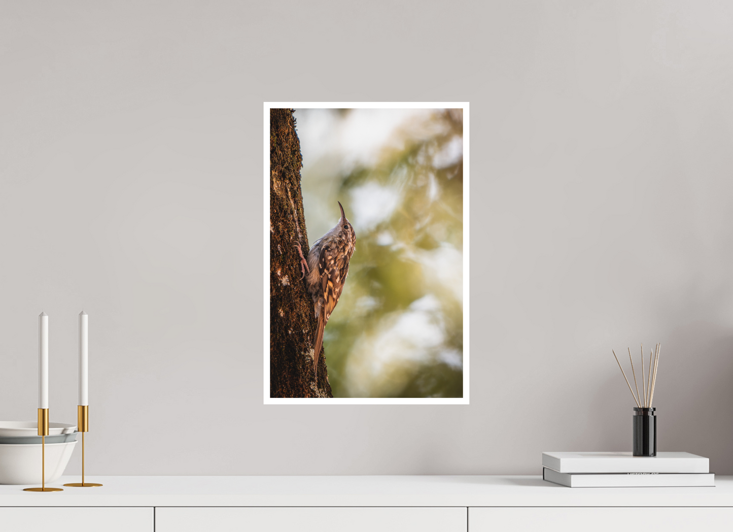 30 x 45 cm, Fine Art Ascension Sylvestre