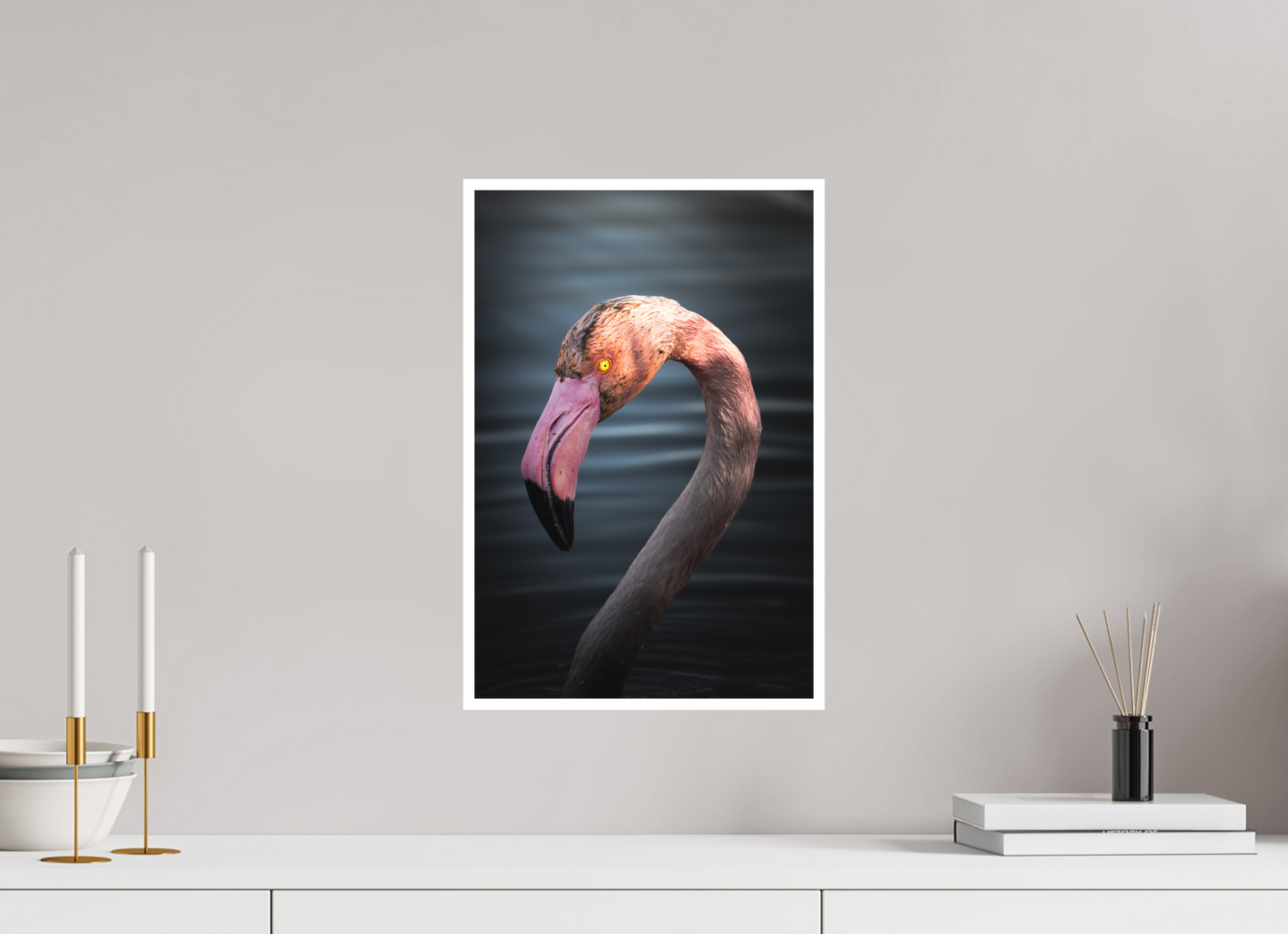 Flamant Rose | un regard menaçant