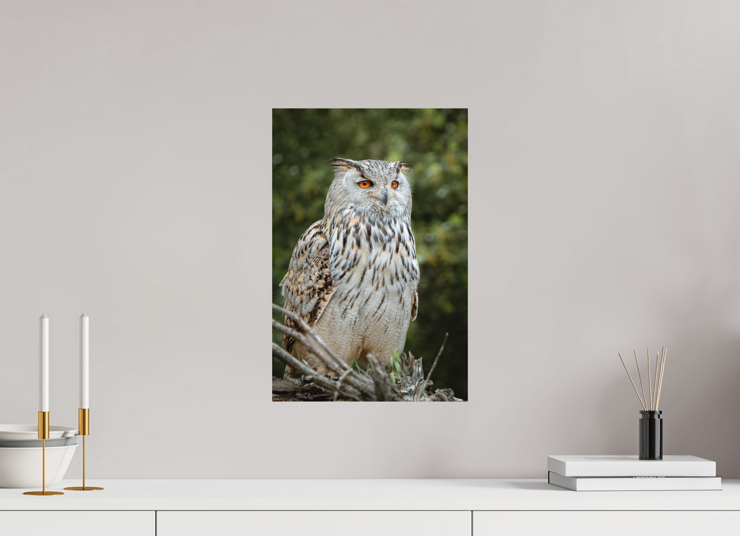 Hibou Grand-duc de Sibérie | belaïa ten’