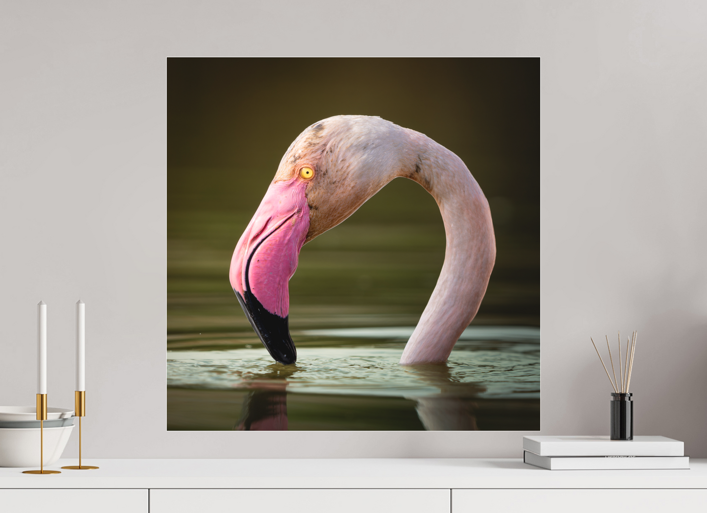 Flamant Rose | le flamant d'eau