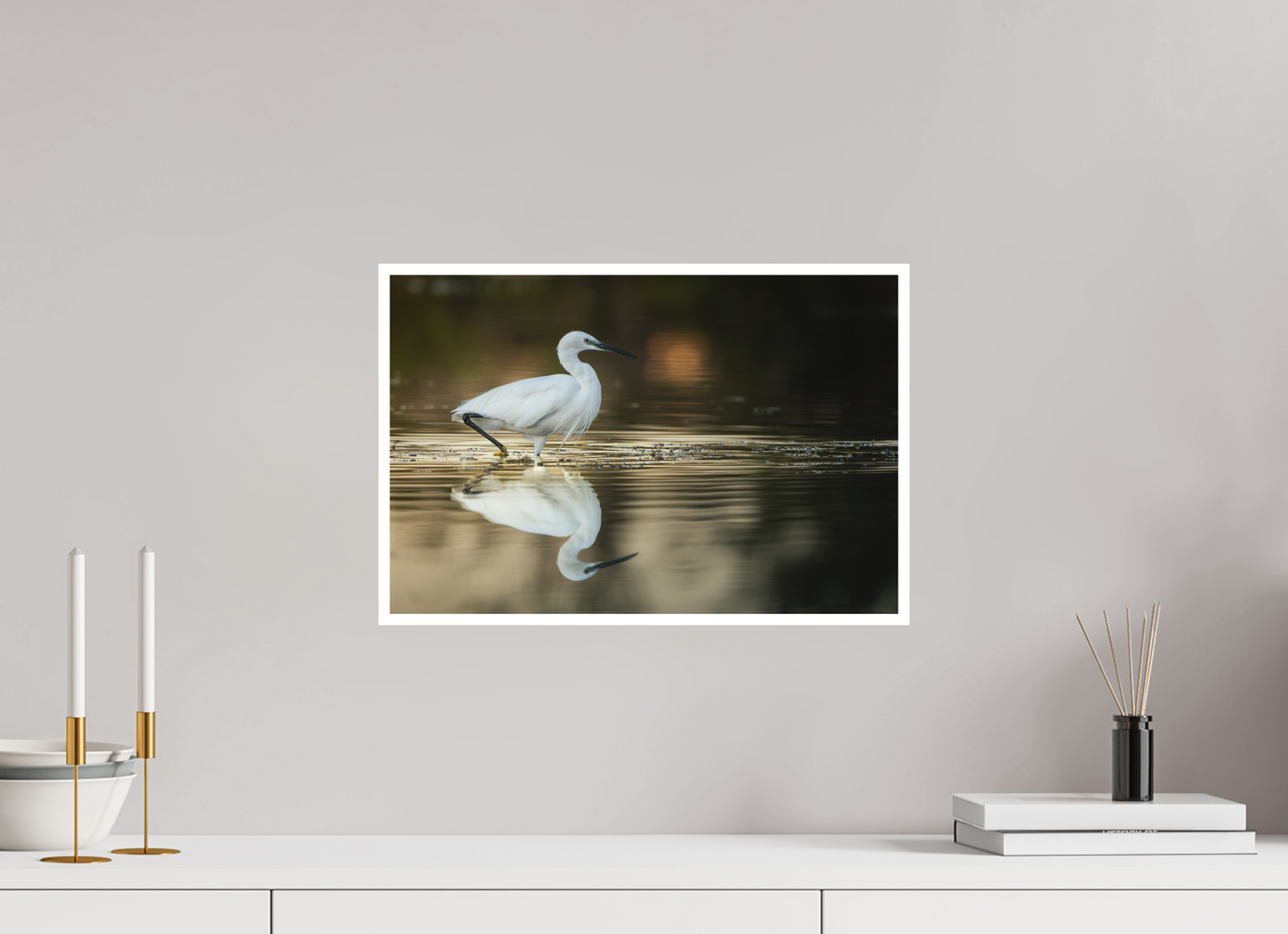 Aigrette Garzette | un reflet parfait