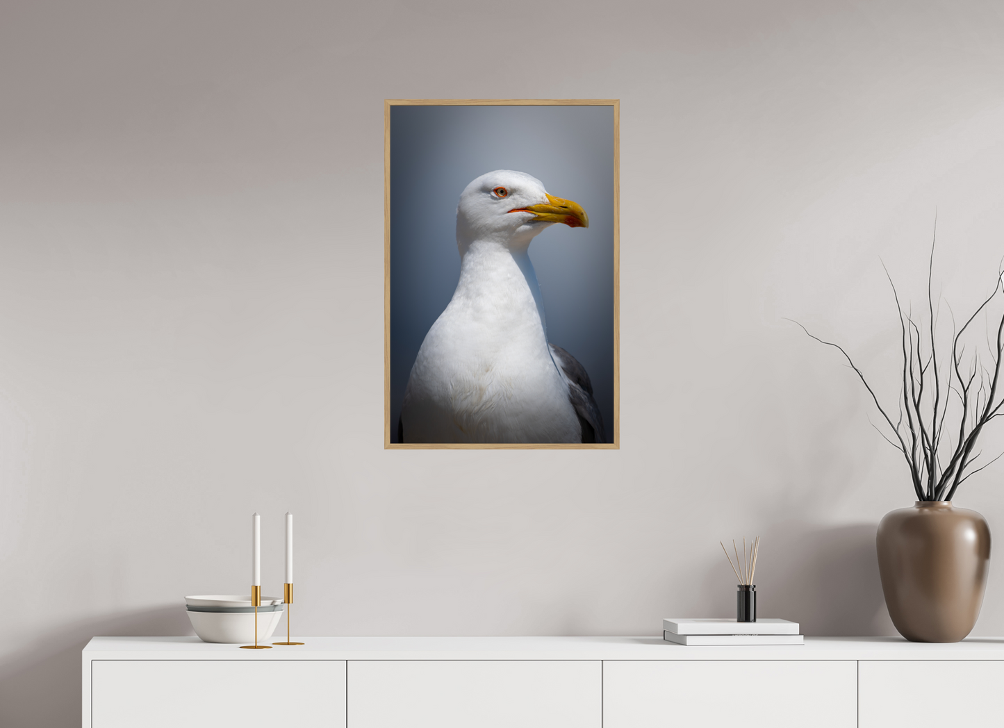 Goéland Leucophée | un portrait marin