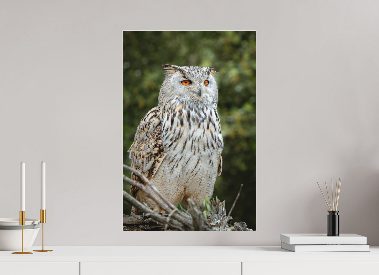 Hibou Grand-duc de Sibérie | belaïa ten’