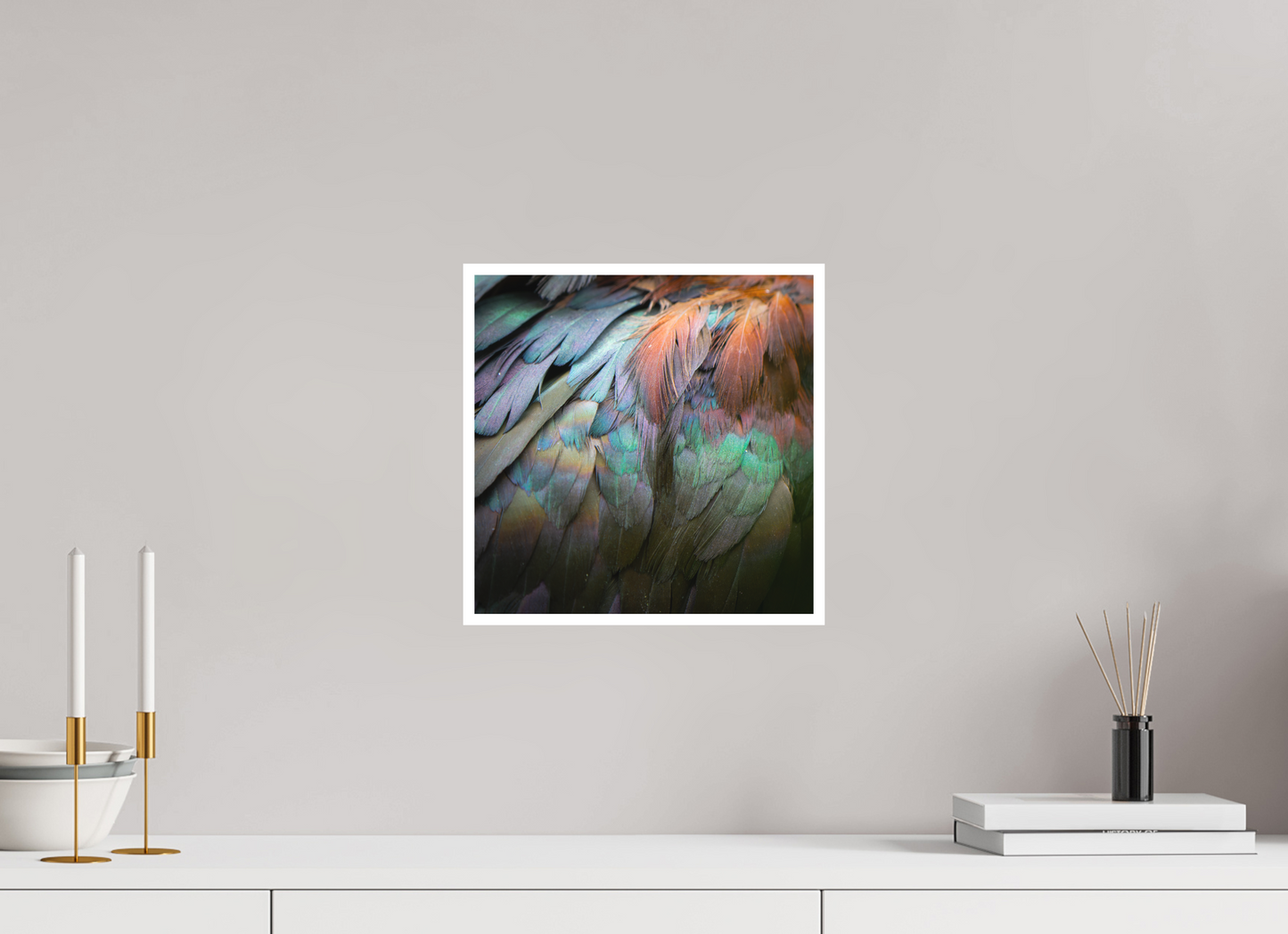 Ibis Falcinelle | iridescence cuivrée