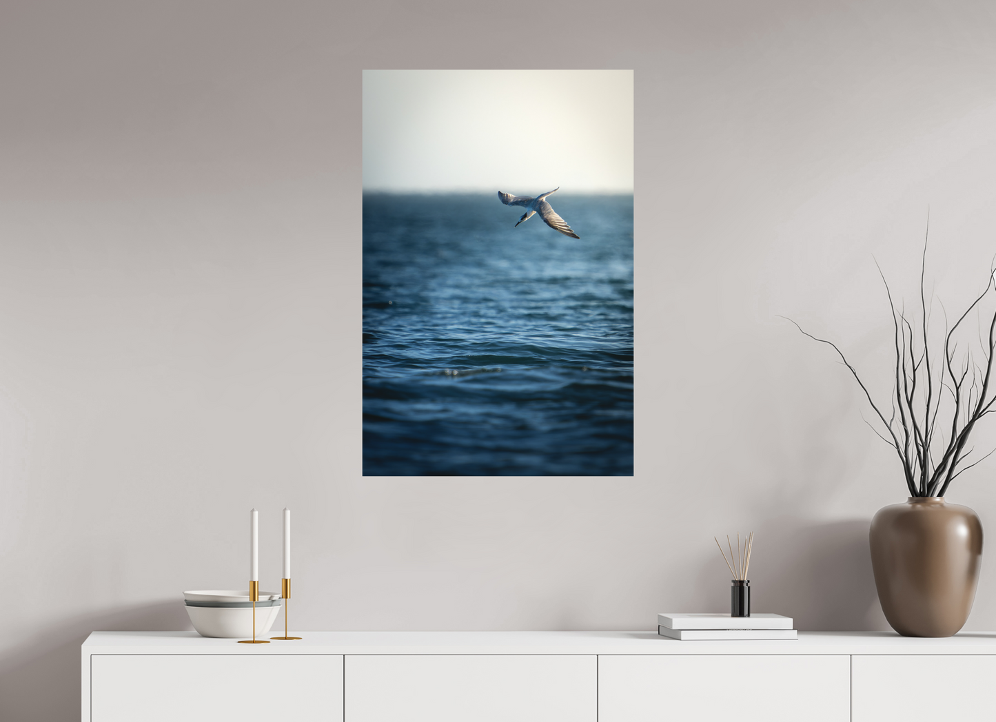 Sterne Caugek | plongeon fulgurant