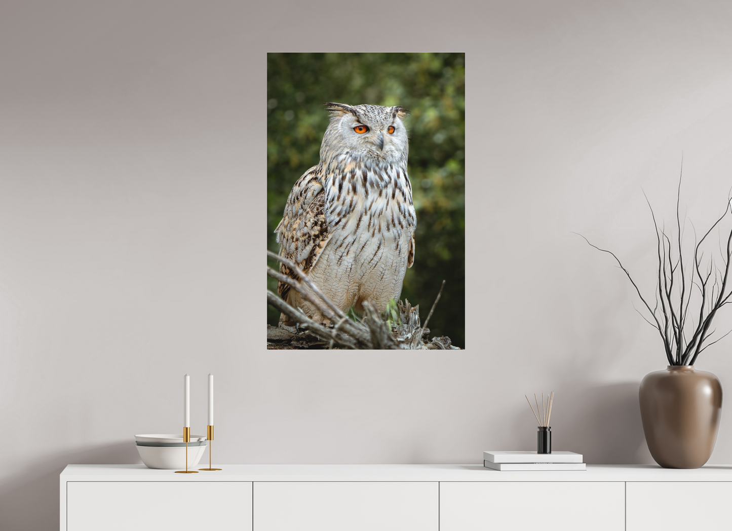 Hibou Grand-duc de Sibérie | belaïa ten’