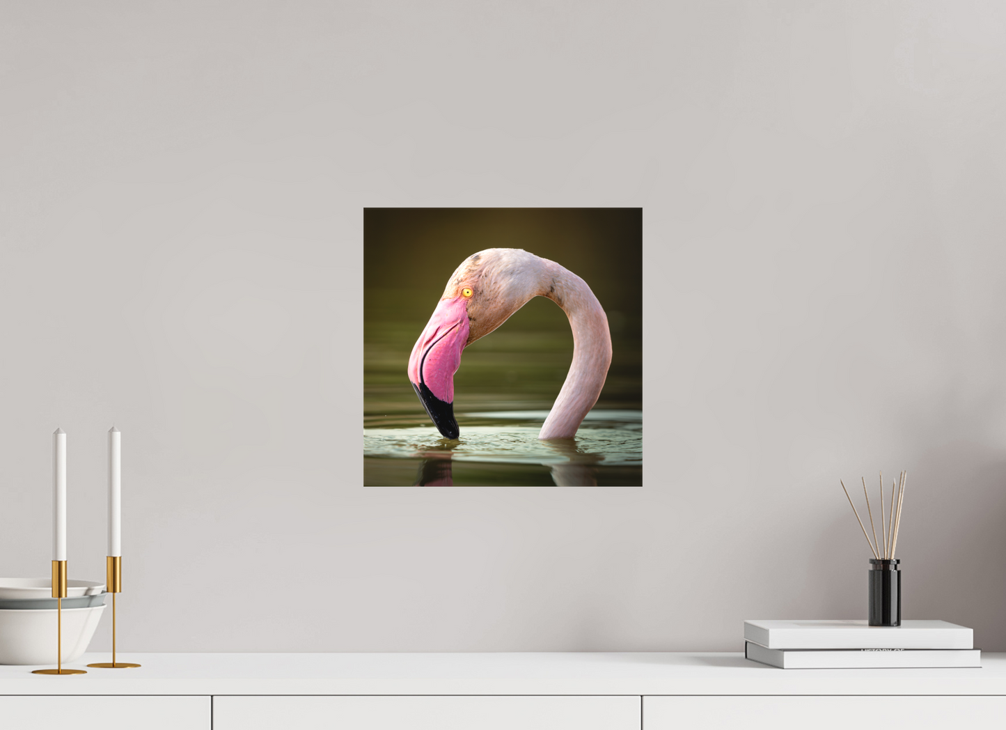 Flamant Rose | le flamant d'eau