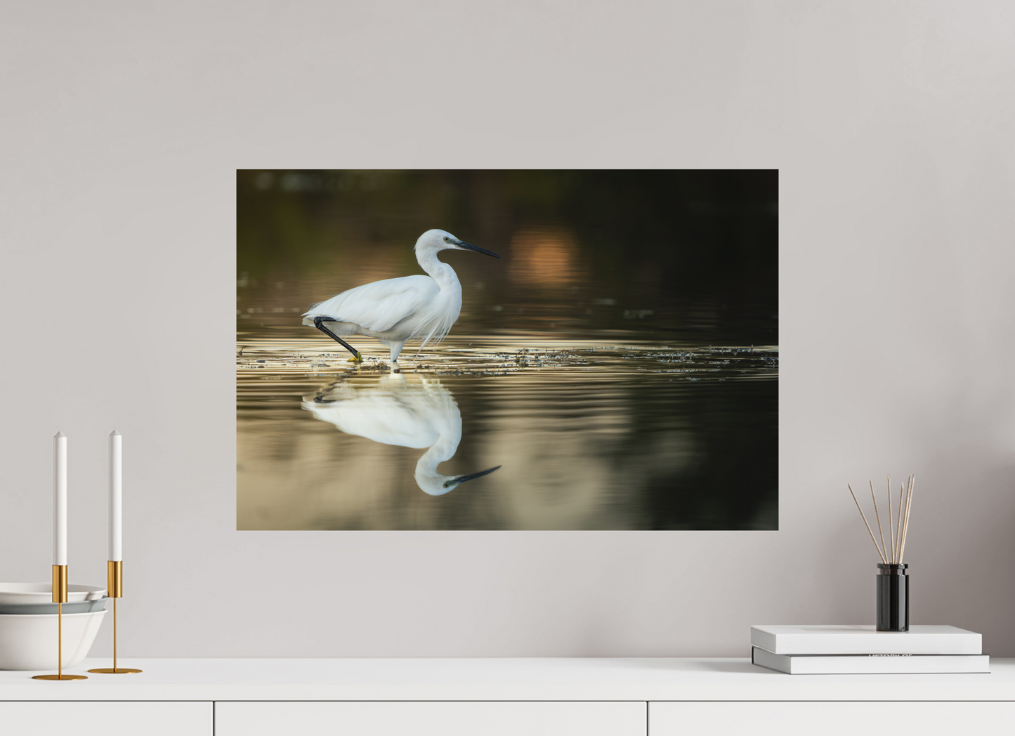 Aigrette Garzette | un reflet parfait