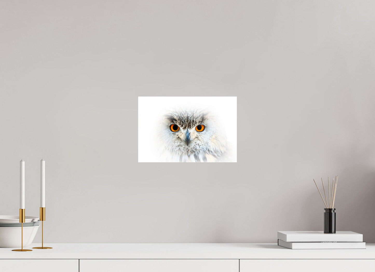 Hibou Grand-duc de Sibérie | les yeux du blizzard