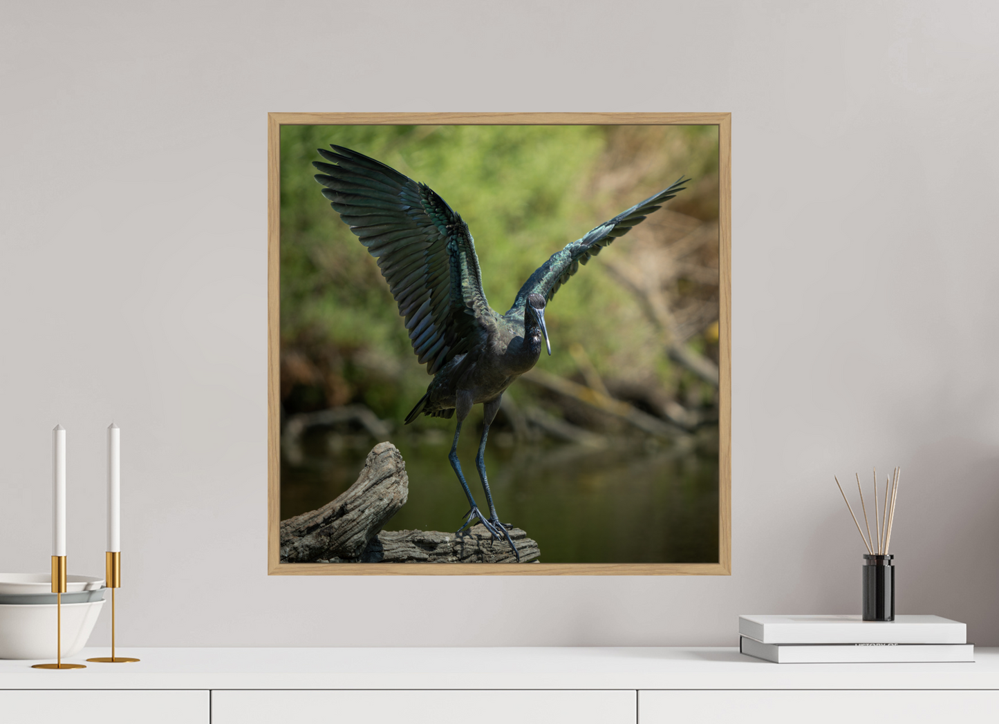 Ibis Falcinelle | cuivre absolu