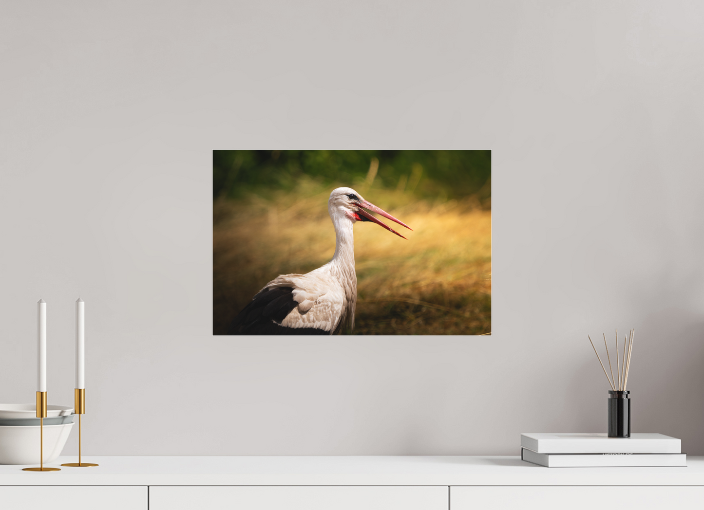 Cigogne blanche | une chaleur ardente