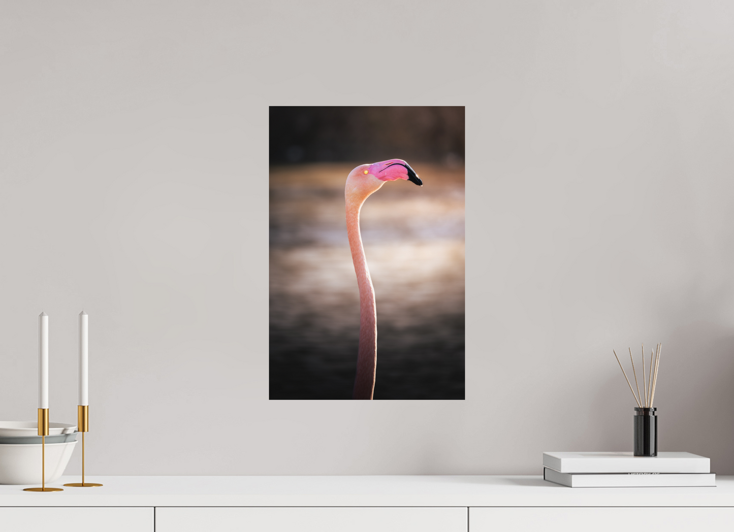 Flamant Rose | un très long cou