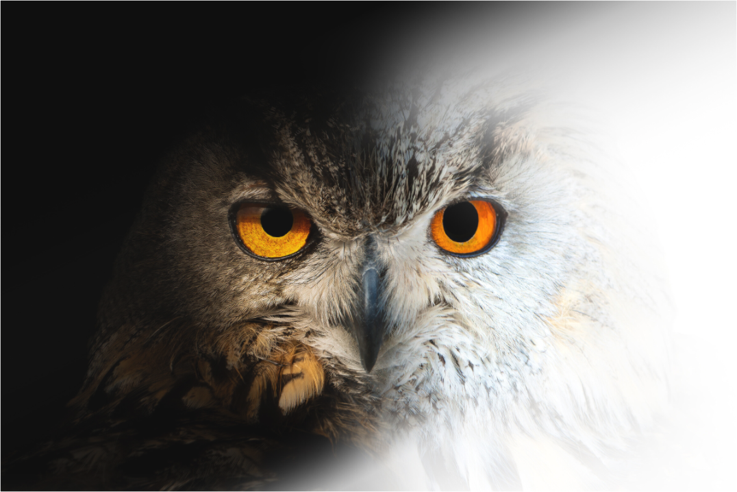 Main image Entre Ténèbres et Lumière