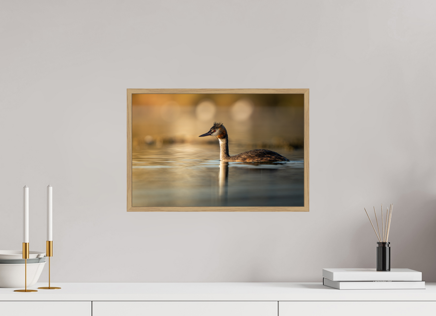 Grèbe Huppé | reflet de l’aube