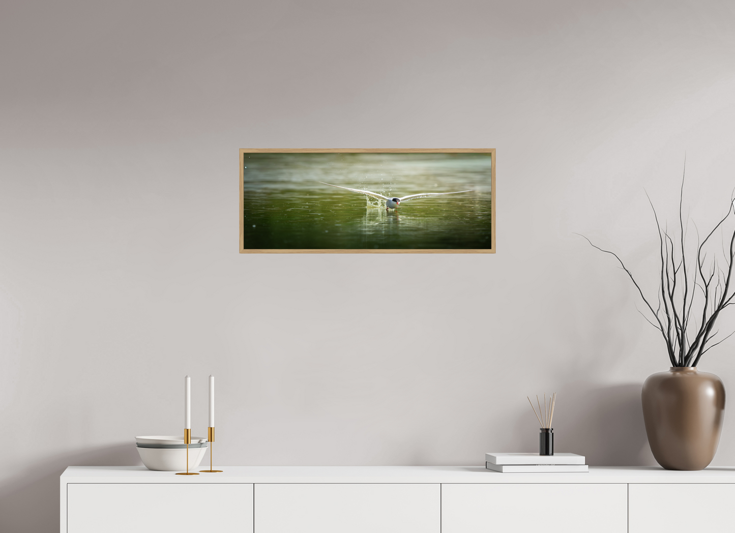 Sterne Pierregarin | chasse en surface