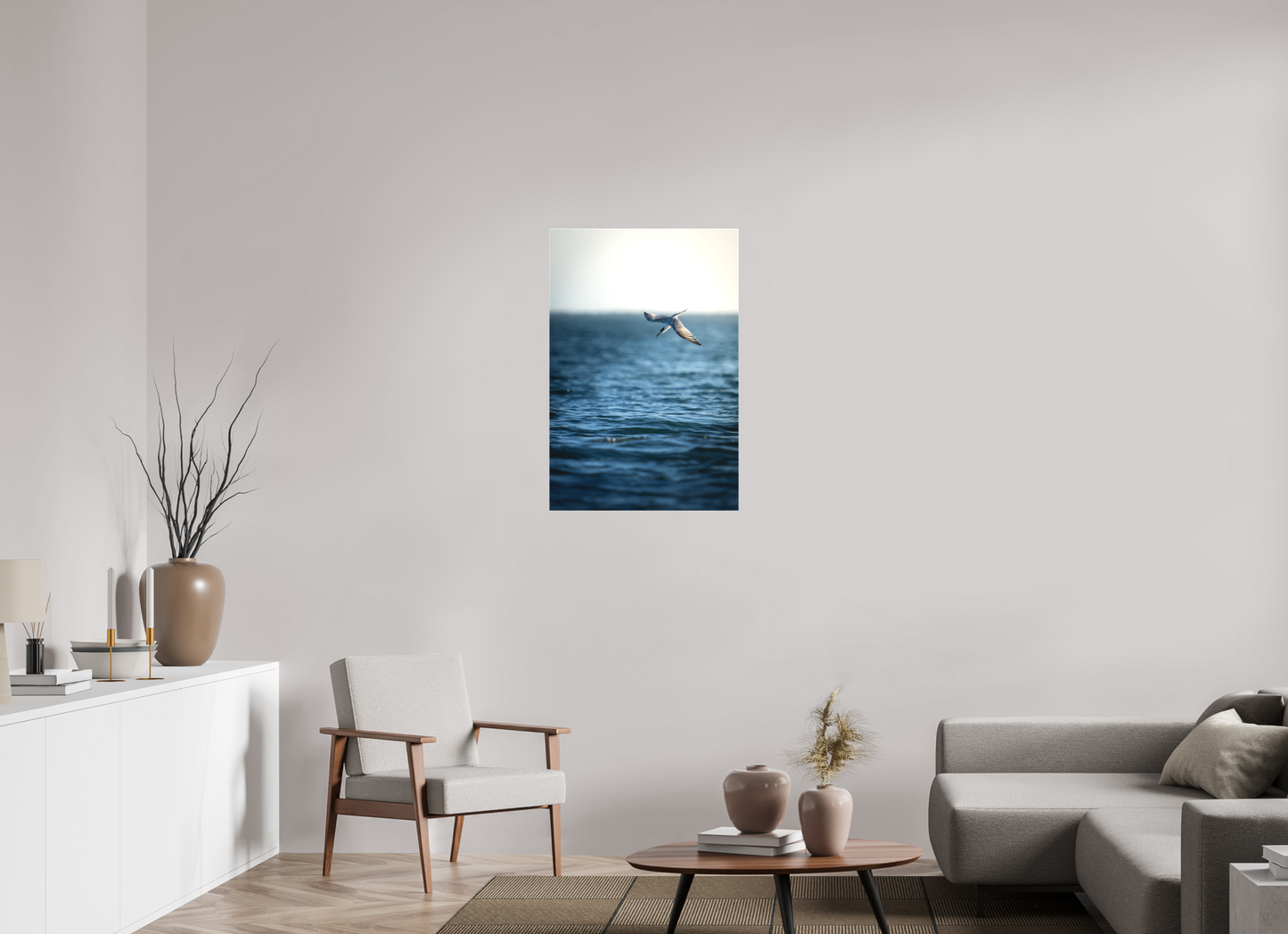 Sterne Caugek | plongeon fulgurant