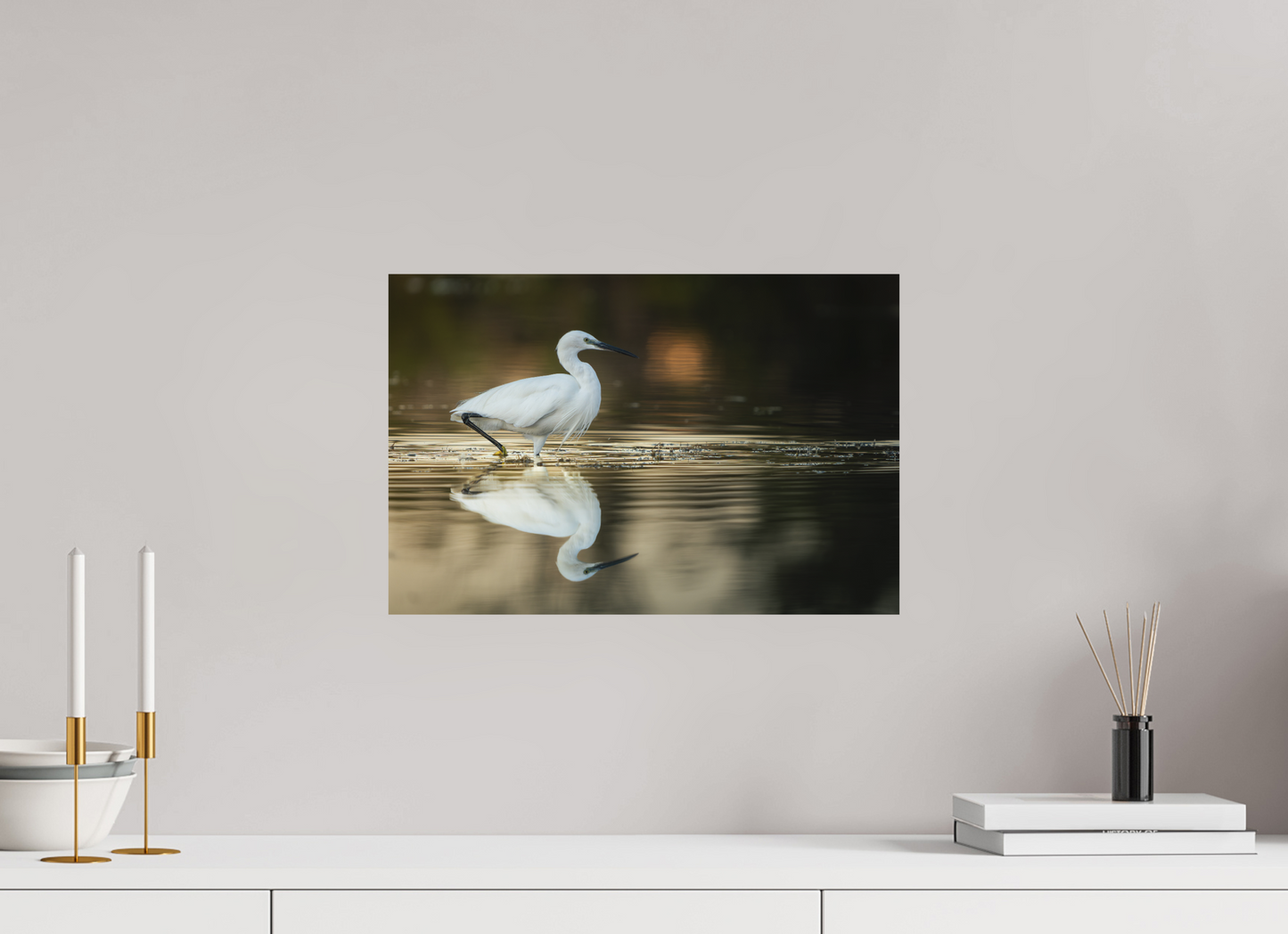 Aigrette Garzette | un reflet parfait