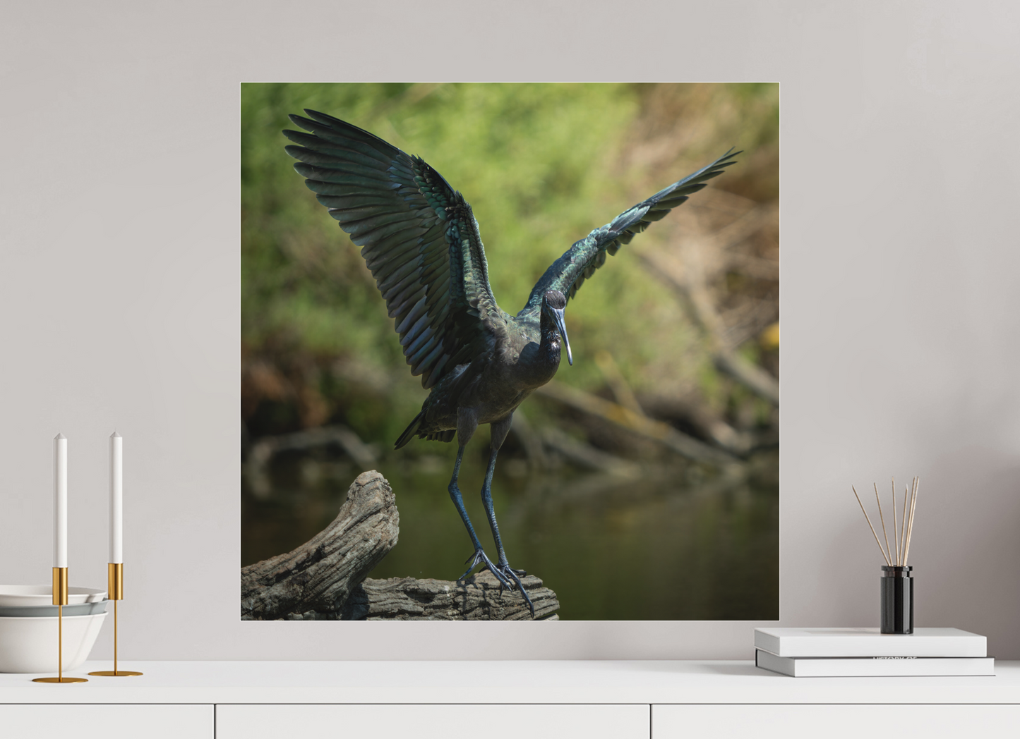 Ibis Falcinelle | cuivre absolu