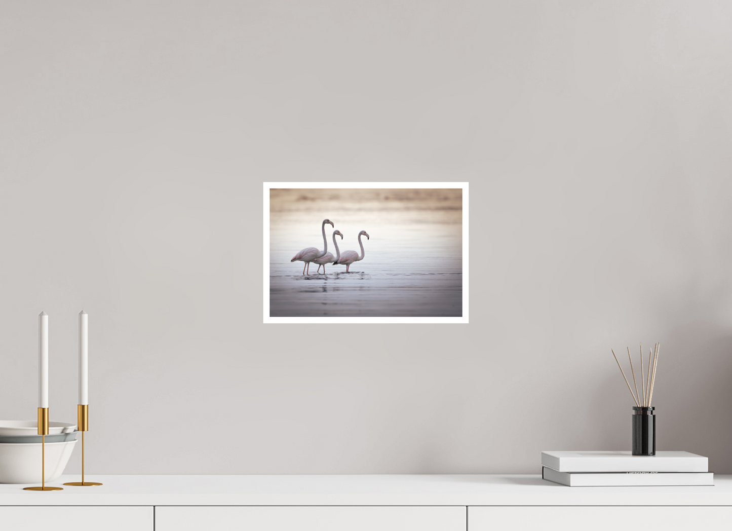 Flamant Rose | le trio juvénile