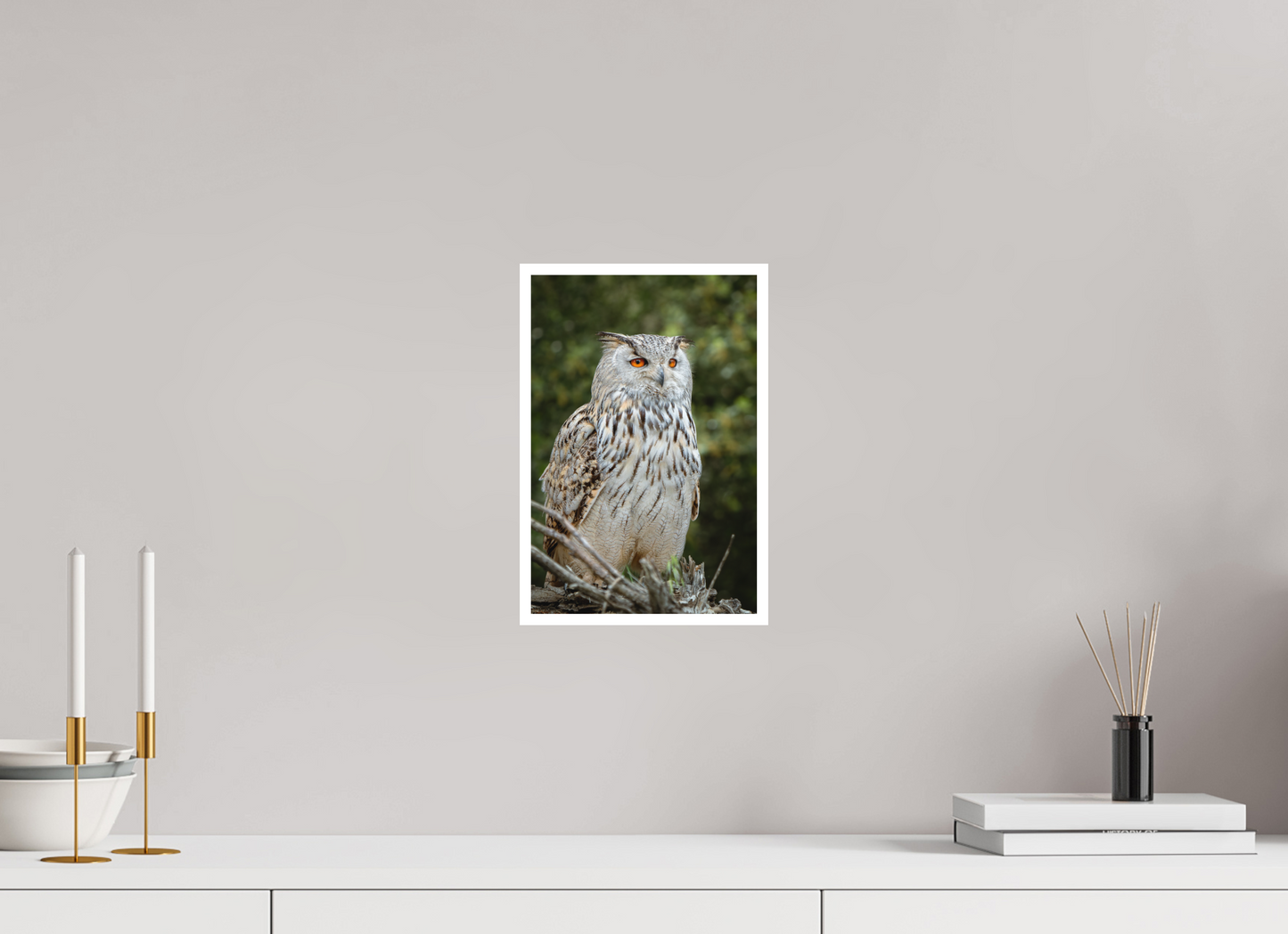 Hibou Grand-duc de Sibérie | belaïa ten’