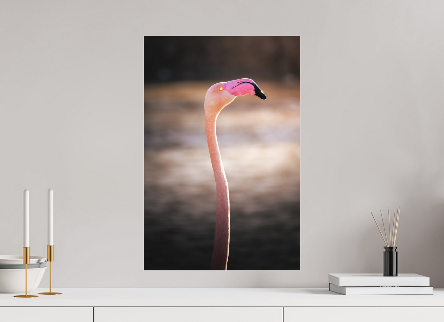 Flamant Rose | un très long cou