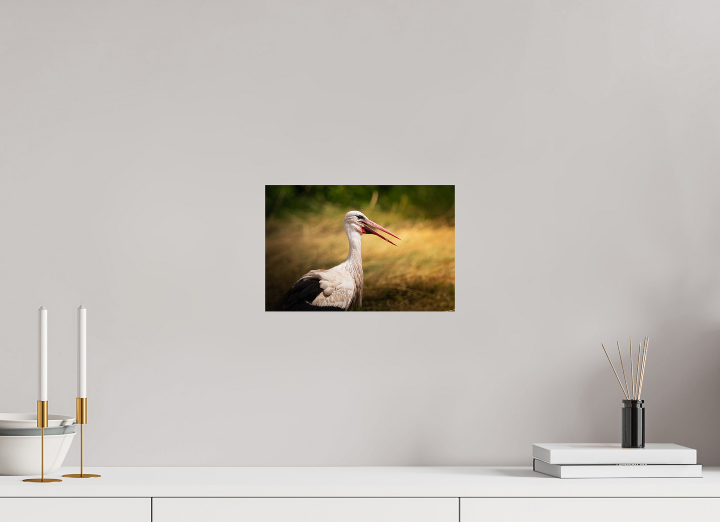 Cigogne blanche | une chaleur ardente