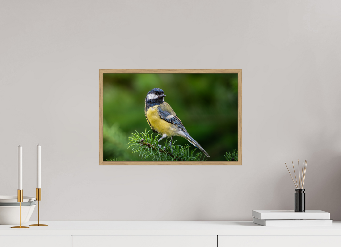 Mésange Charbonnière | la reine des mésanges