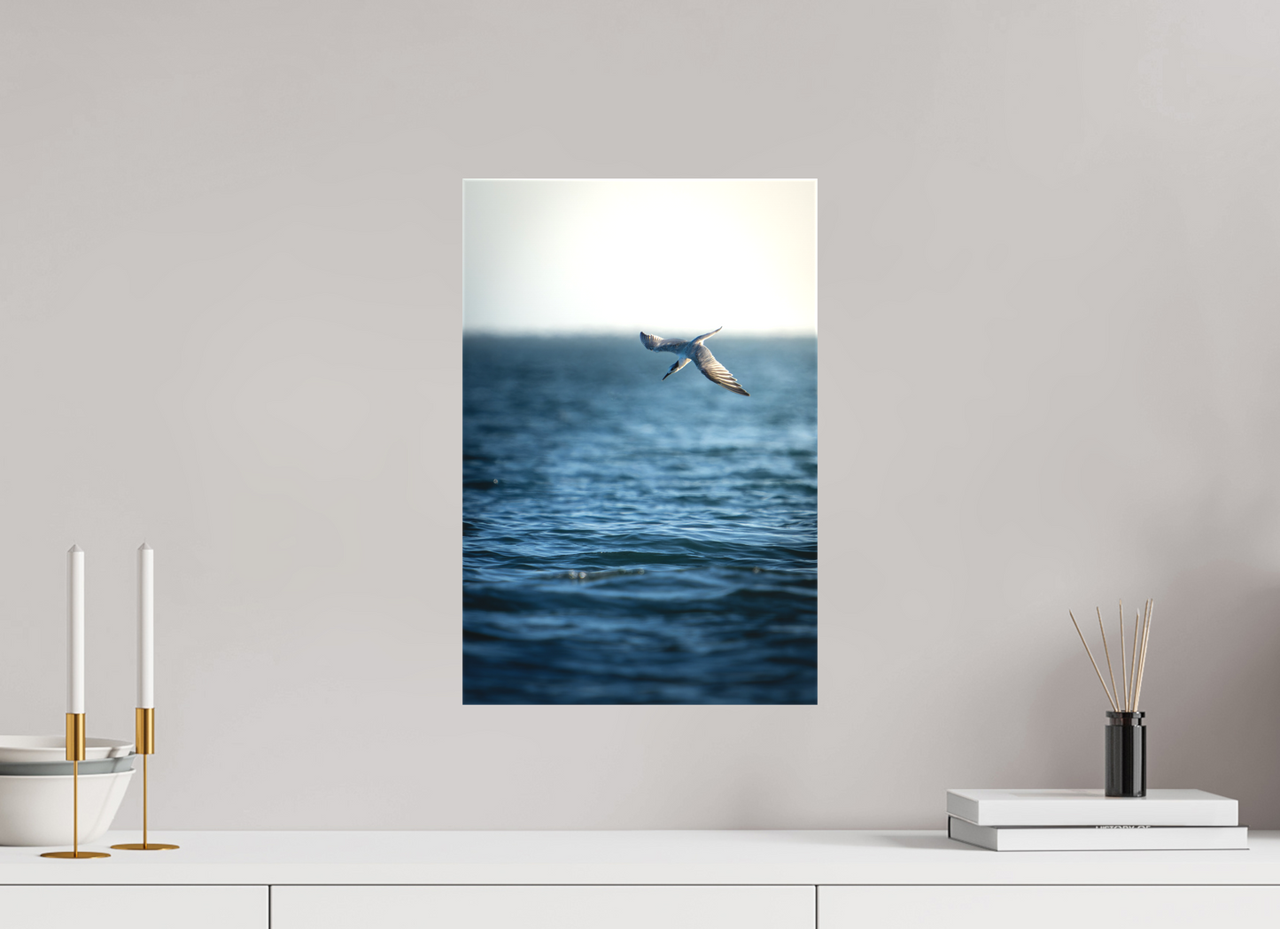 Sterne Caugek | plongeon fulgurant