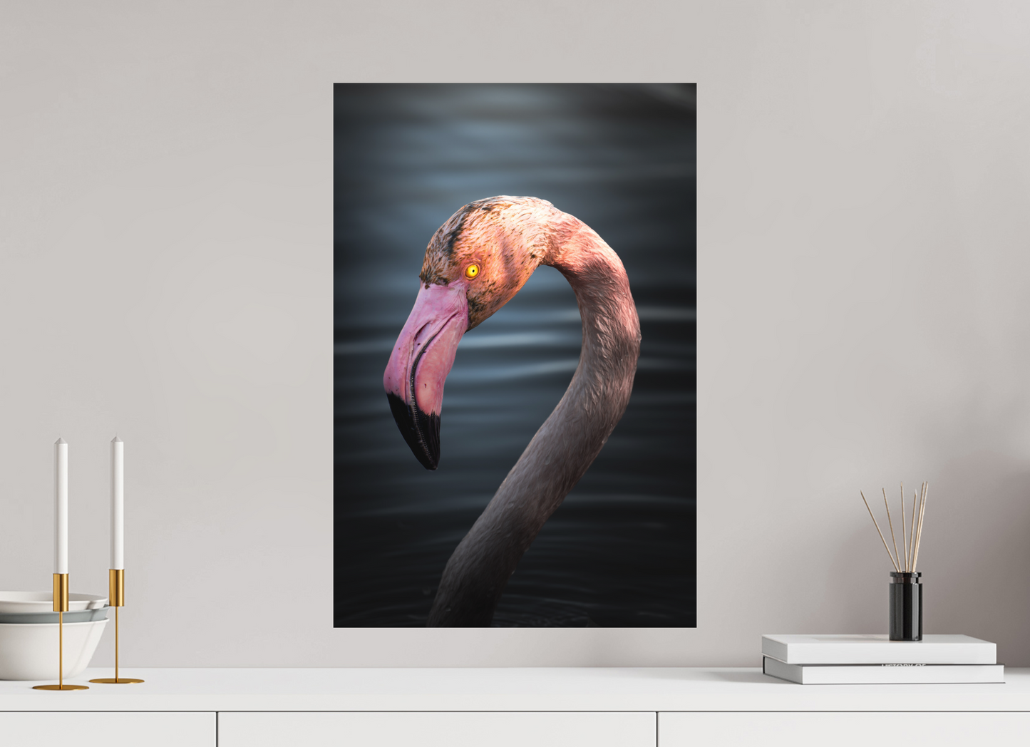 Flamant Rose | un regard menaçant