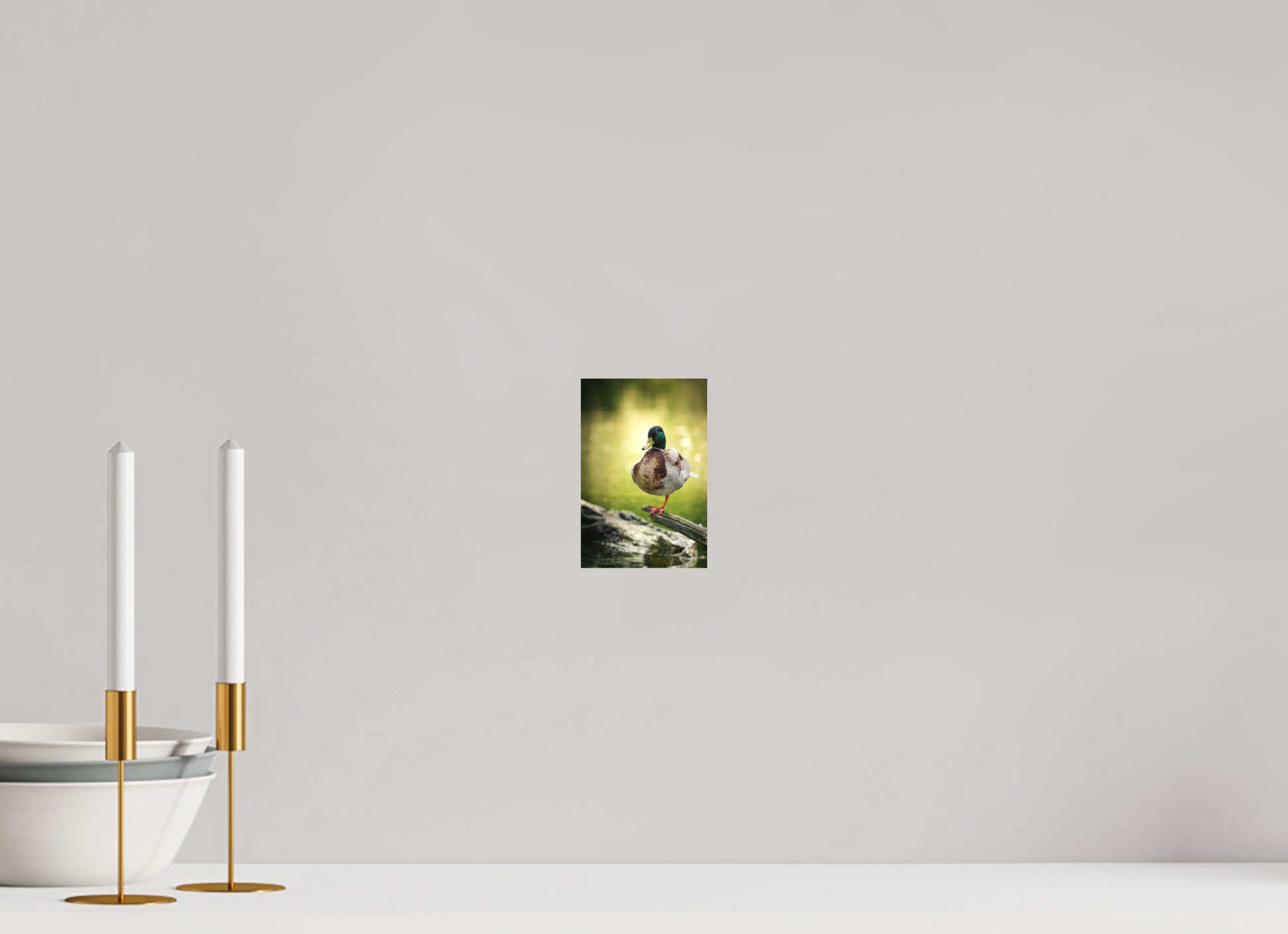 10 x 15 cm, Papier Standard Vert Absolu