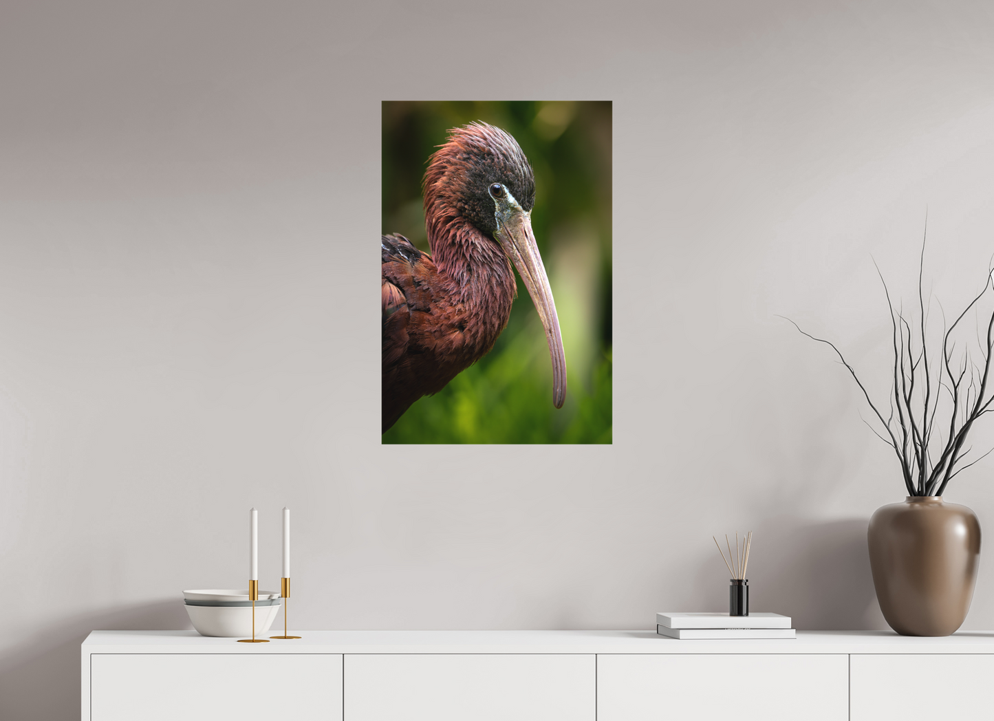 Ibis Falcinelle | un long bec courbé