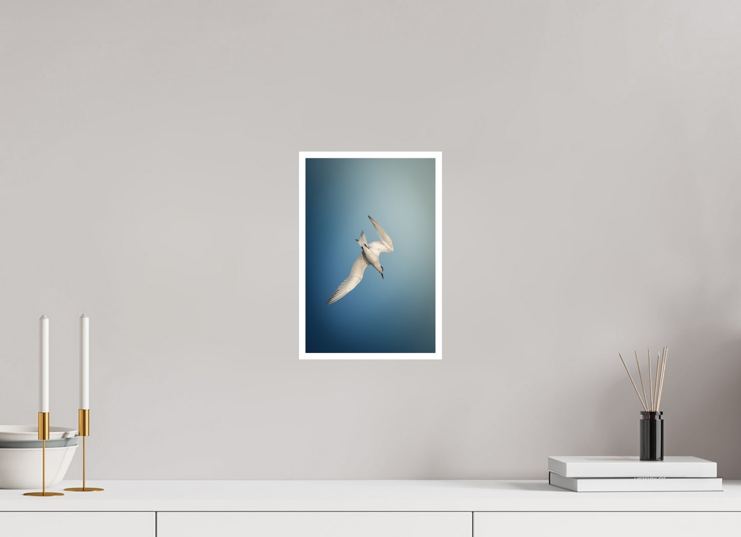 Sterne Caugek | l'amorce