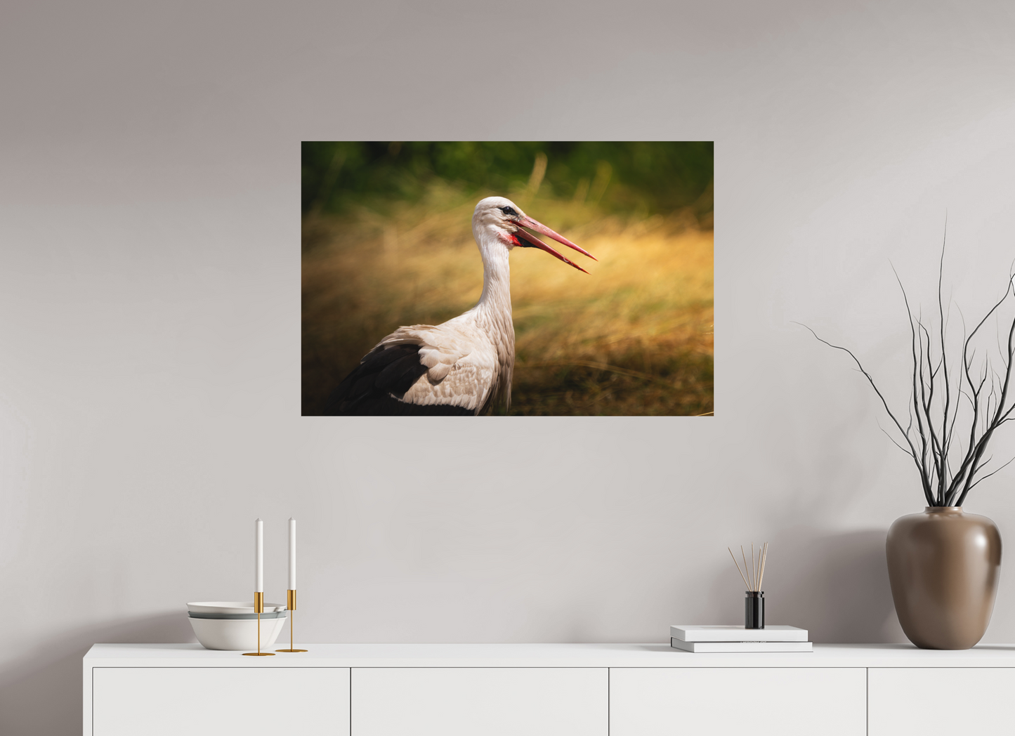 Cigogne blanche | une chaleur ardente