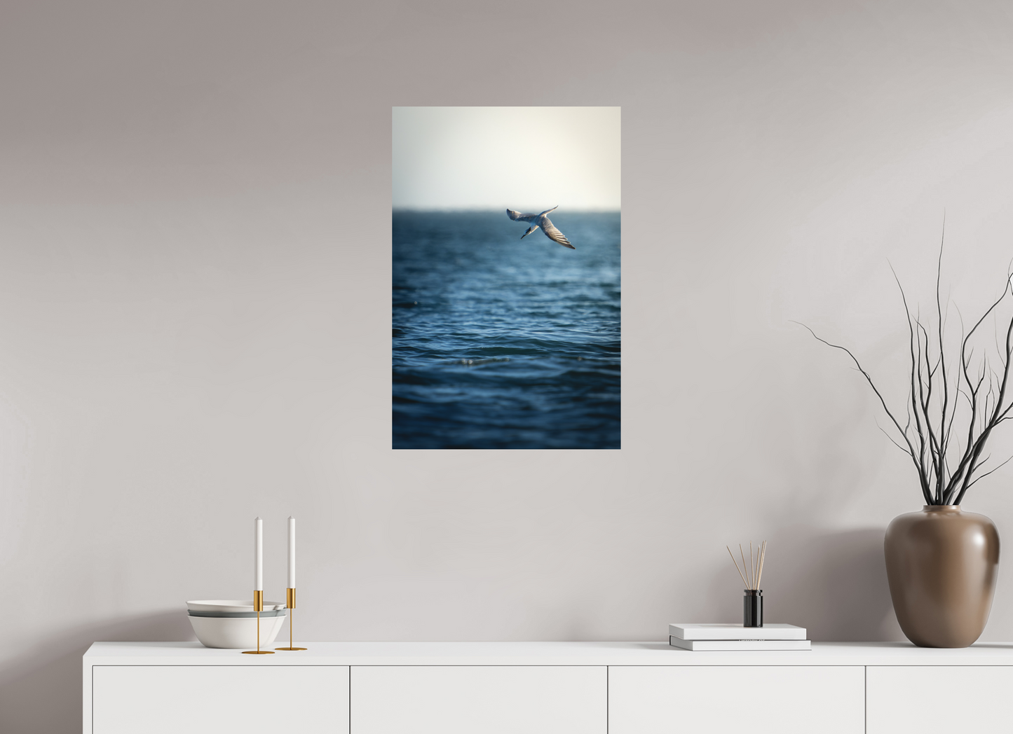 Sterne Caugek | plongeon fulgurant
