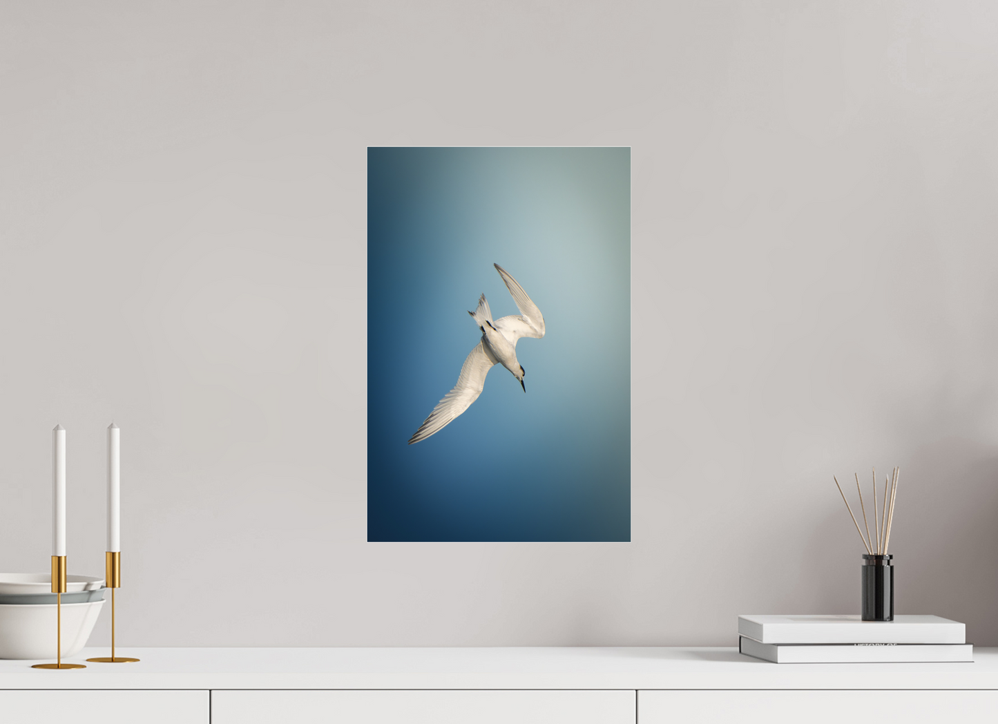 Sterne Caugek | l'amorce