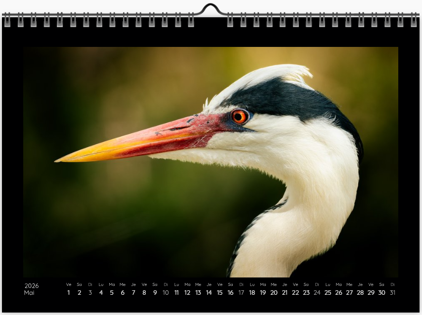 Calendrier photo édition Bouches-du-Rhône 2026