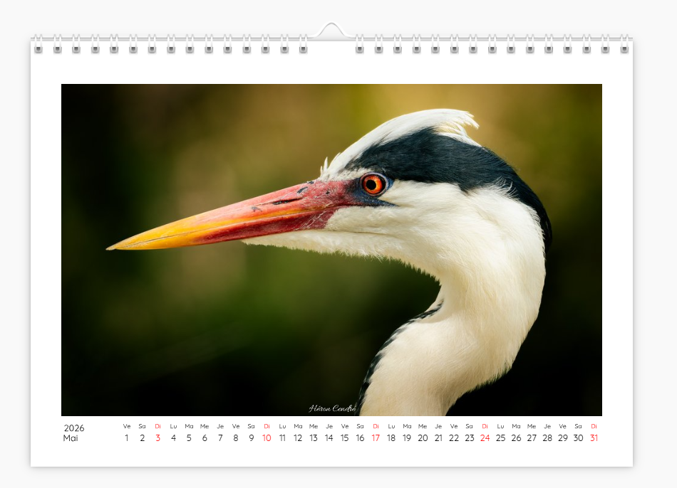 Calendrier photo édition Bouches-du-Rhône 2026