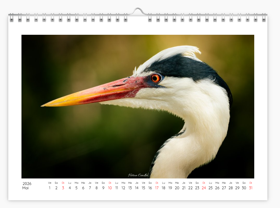 Calendrier photo édition Bouches-du-Rhône 2026