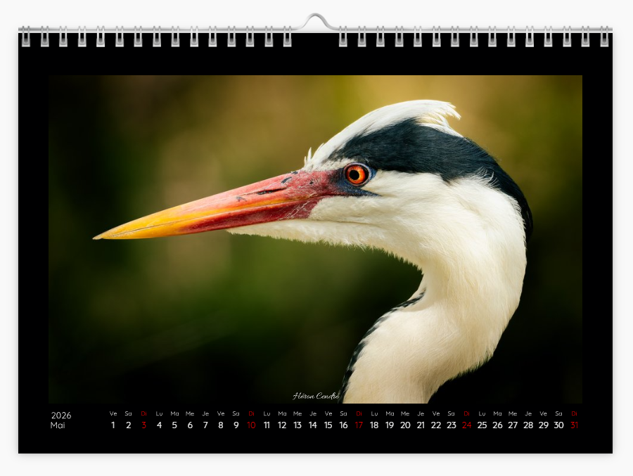 Calendrier photo édition Bouches-du-Rhône 2026