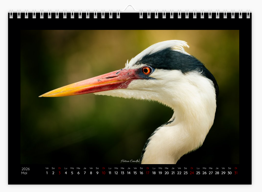 Calendrier photo édition Bouches-du-Rhône 2026